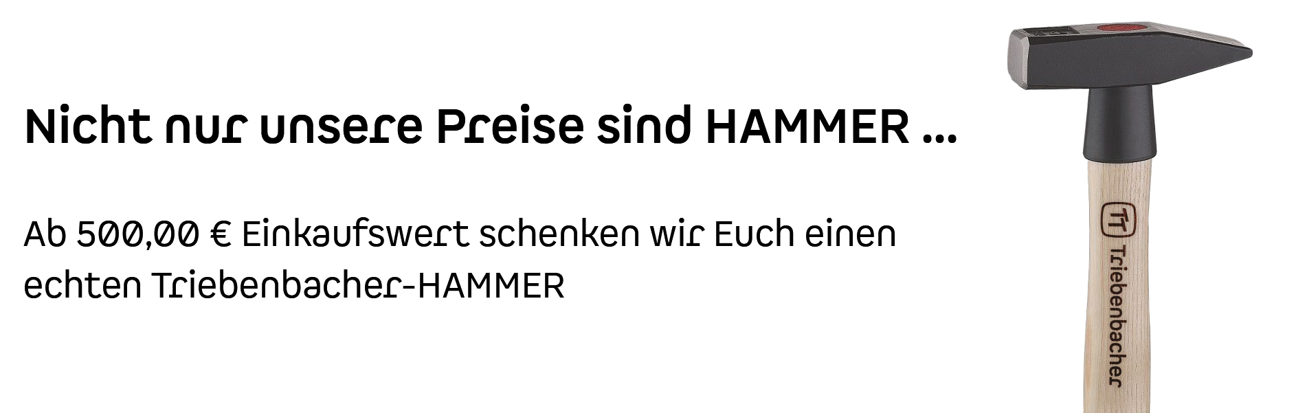 Triebenbacher-HAMMER